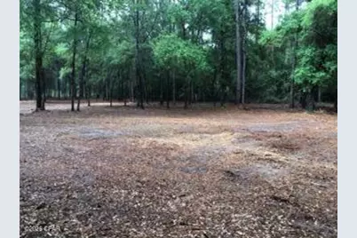 4954 Derby Drive, Chipley, FL 32428 - Photo 5