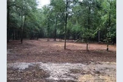 4954 Derby Drive, Chipley, FL 32428 - Photo 7