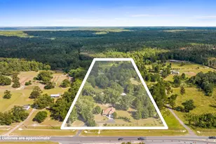 3955 Hwy 77, Chipley, FL 32428 - Photo 5