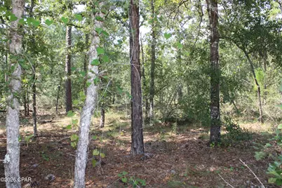 Tbd Monogahela Avenue, Alford, FL 32420 - Photo 3