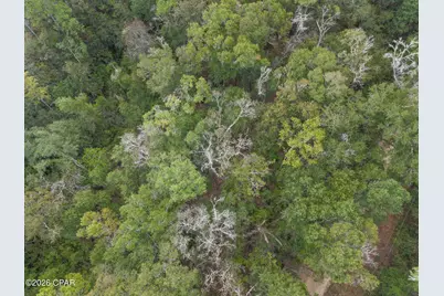 Lot 23 Remington Place, Bonifay, FL 32425 - Photo 13