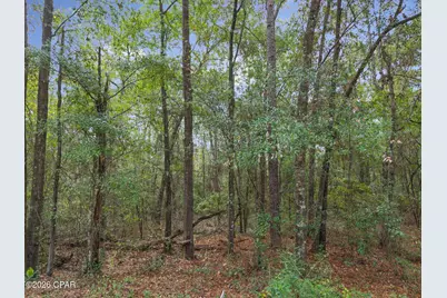 Lot 24 Remington Place, Bonifay, FL 32425 - Photo 1