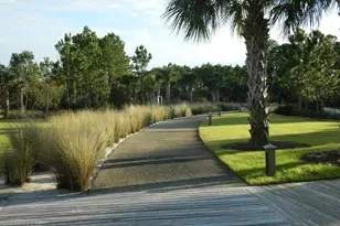 264 Sea Grv Wy, Port Saint Joe, FL 32456 - Photo 29