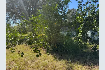 25966 NE George Maloy Lane, Altha, FL 32421 - Photo 37