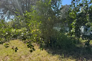 25966 NE George Maloy Ln, Altha, FL 32421 - Photo 37