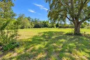 25966 NE George Maloy Ln, Altha, FL 32421 - Photo 5