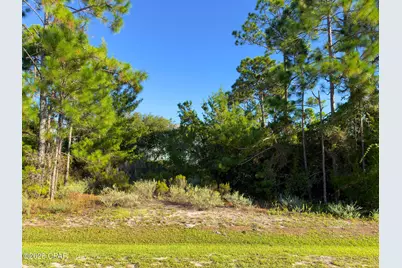 213 Stingray Lane, Port Saint Joe, FL 32456 - Photo 11