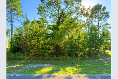 213 Stingray Lane, Port Saint Joe, FL 32456 - Photo 1