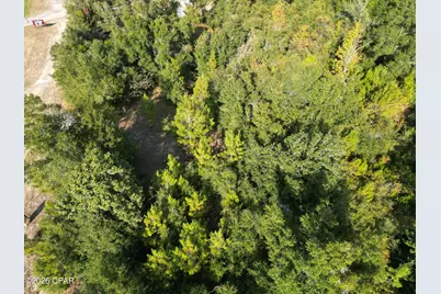 19026 Us-231, Fountain, FL 32438 - Photo 9