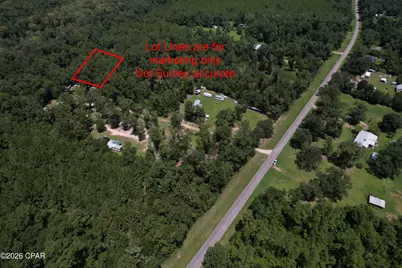 0 Camp Seclusion, Bristol, FL 32321 - Photo 3