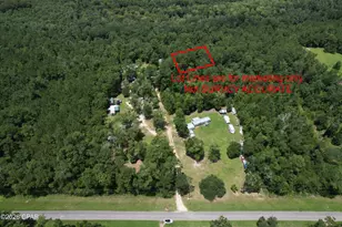 0 Camp Seclusion, Bristol, FL 32321 - Photo 1