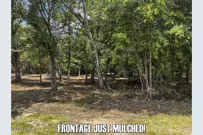 0 Salem Church Road, Sneads, FL 32460 - Photo 15