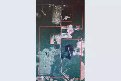 0 Thomas Dr and Davidson Rd Drive, Bonifay, FL 32425 - Photo 1