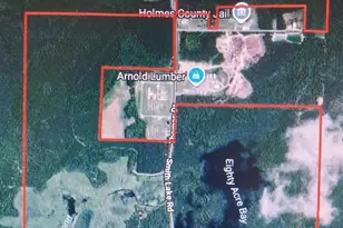 0 Thomas Dr and Davidson Rd Dr, Bonifay, FL 32425 - Photo 1