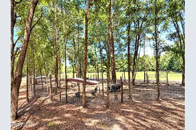 0000 Corbin Lane, Bonifay, FL 32425 - Photo 71