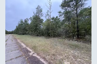 Lot 38 Adirondack Drive, Chipley, FL 32428 - Photo 3