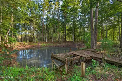 750 Palmer Drive, Caryville, FL 32427 - Photo 39