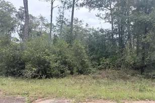 Lot 1 Wellington Pl, Chipley, FL 32428 - Photo 1