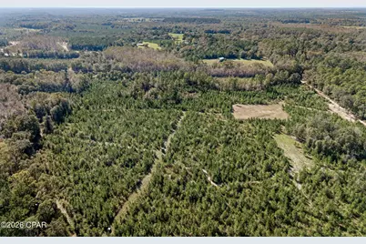 Xxx Birch Road, Graceville, FL 32440 - Photo 5