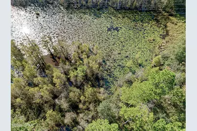 Xxx Birch Road, Graceville, FL 32440 - Photo 15
