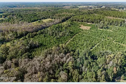 Xxx Birch Road, Graceville, FL 32440 - Photo 19