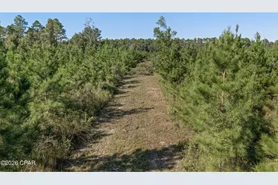 Xxx Birch Road, Graceville, FL 32440 - Photo 17