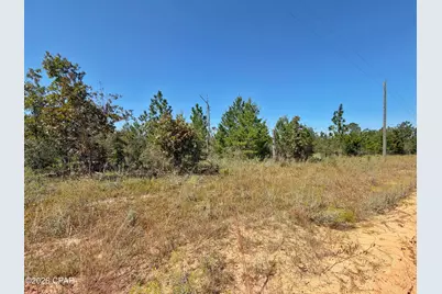 121 Petty Road, Marianna, FL 32448 - Photo 3