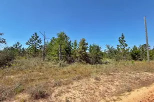 121 Petty Rd, Marianna, FL 32448 - Photo 1