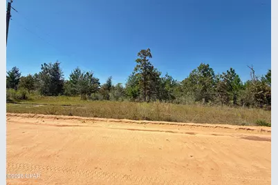 121 Petty Road, Marianna, FL 32448 - Photo 7