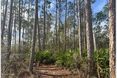 215 White Oaks Boulevard, Panama City, FL 32409 - Photo 3