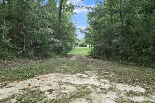 8282 NW River Rd, Bristol, FL 32321 - Photo 33