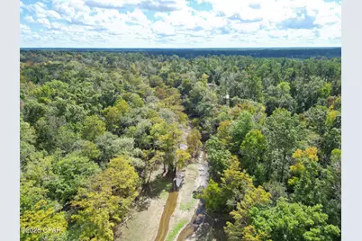 8282 NW River Road, Bristol, FL 32321 - Photo 37