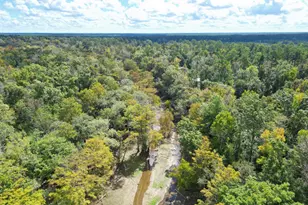 8282 NW River Rd, Bristol, FL 32321 - Photo 37