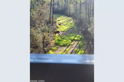 19 2N 12W -6 #12W, Fountain, FL 32438 - Photo 11