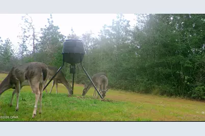 19 2N 12W -6 #12W, Fountain, FL 32438 - Photo 29