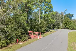 2825 Jackson Bluff Rd, Marianna, FL 32446 - Photo 53