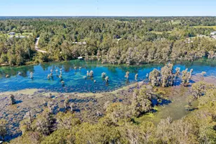 2825 Jackson Bluff Rd, Marianna, FL 32446 - Photo 41