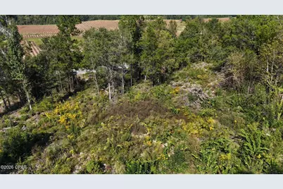4593 Meadowview Road, Marianna, FL 32446 - Photo 15
