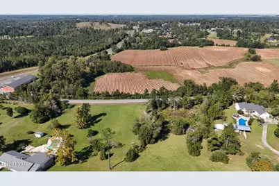 4593 Meadowview Road, Marianna, FL 32446 - Photo 5