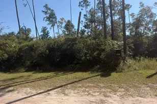 12220 Caruso Dr, Panama City, FL 32404 - Photo 1