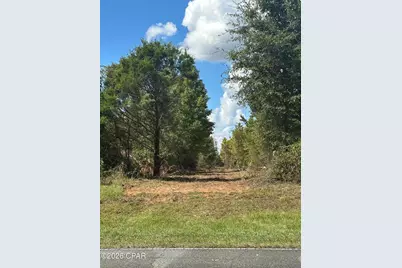 0000 Poplar Springs Road, Marianna, FL 32446 - Photo 3