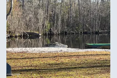 3150 Highway 2, Campbellton, FL 32426 - Photo 19