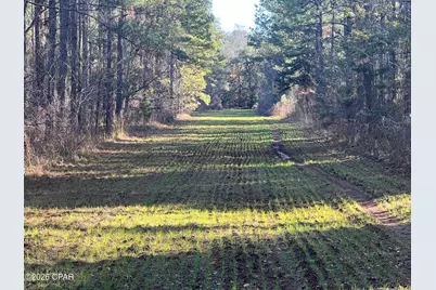 3150 Highway 2, Campbellton, FL 32426 - Photo 5