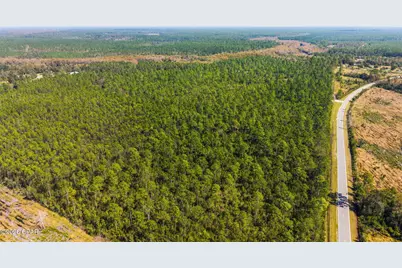 11298 Pine Log Road, Southport, FL 32437 - Photo 5