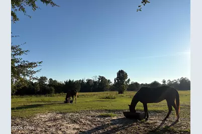0 I-10 Loop, Marianna, FL 32448 - Photo 7