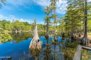 727 Wrights Creek Rd, Caryville, FL 32427 - Photo 41