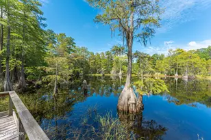 727 Wrights Creek Rd, Caryville, FL 32427 - Photo 39