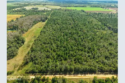 0 Bradley Road, Marianna, FL 32448 - Photo 9