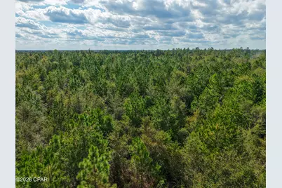 0 Bradley Road, Marianna, FL 32448 - Photo 7