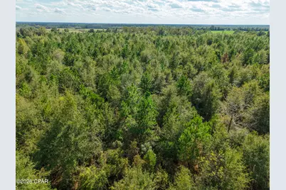 0 Bradley Road, Marianna, FL 32448 - Photo 3
